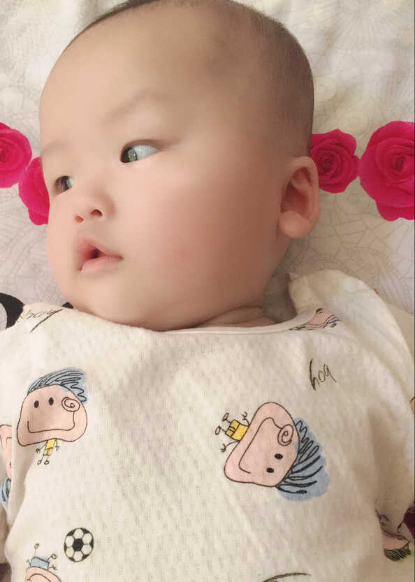模特-