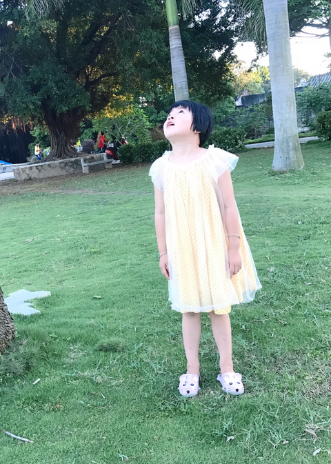 模特-