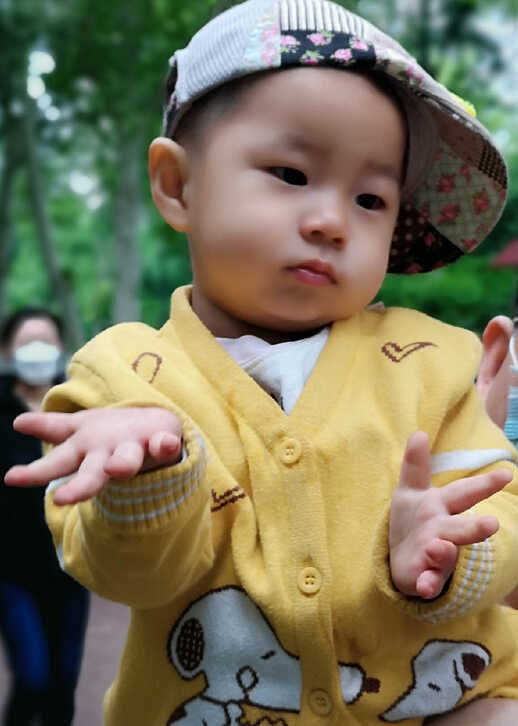 模特-
