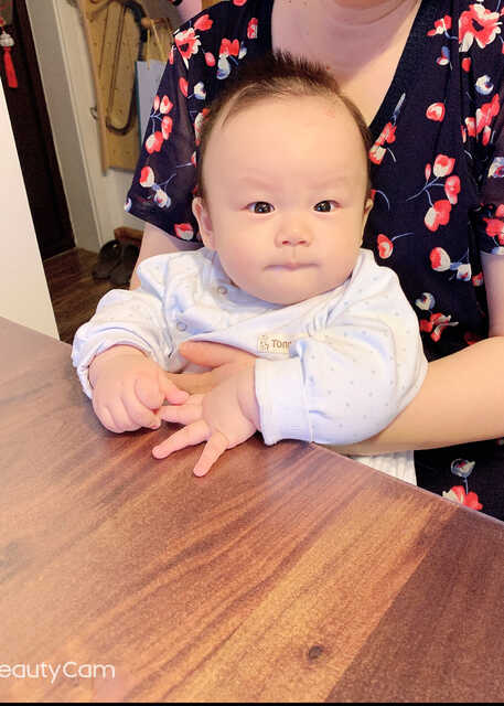 模特-