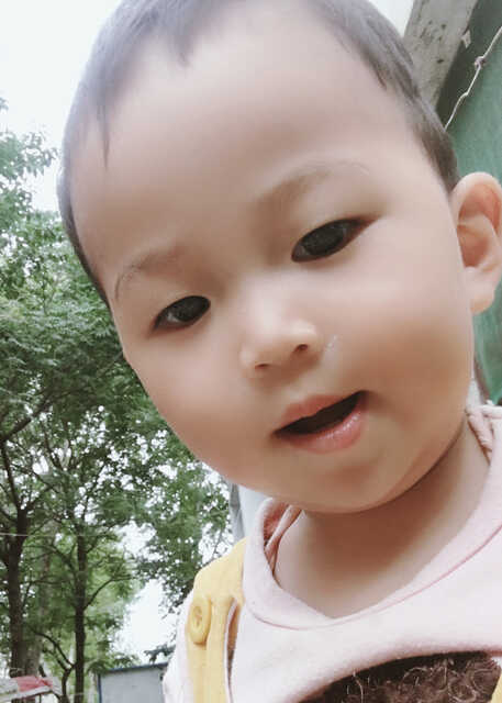 模特-