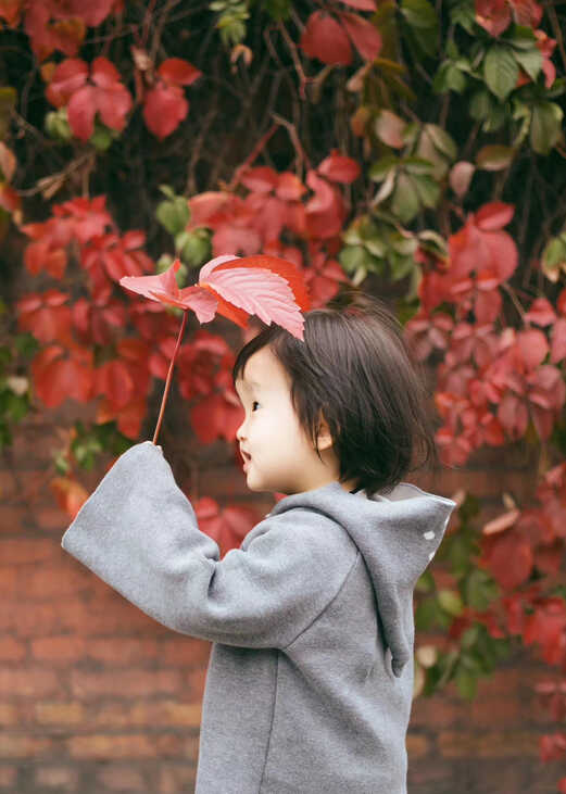 模特-