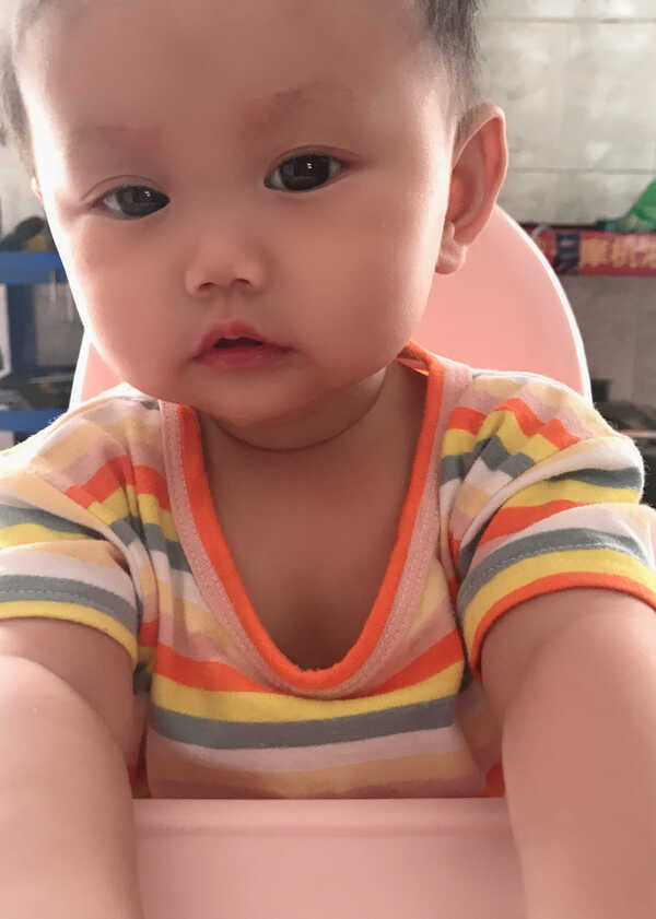 模特-