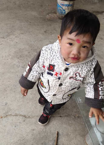 模特-