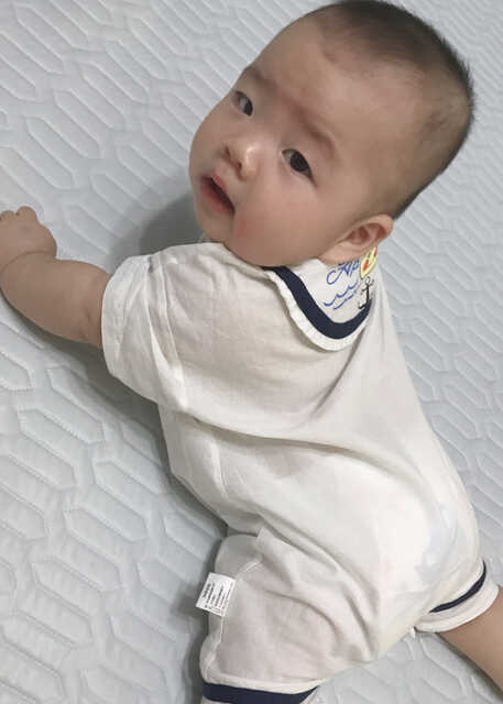 模特-