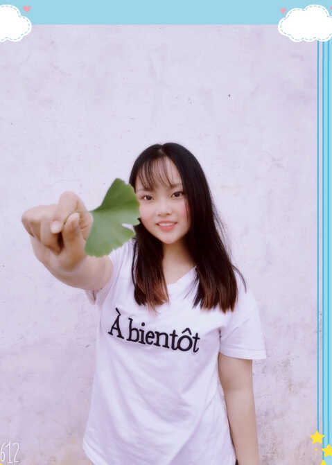 模特-