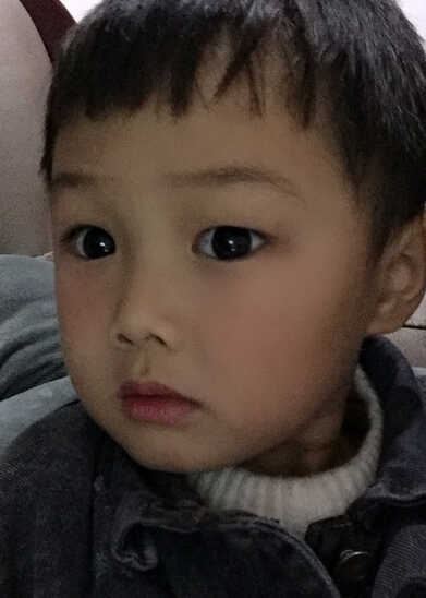 模特-
