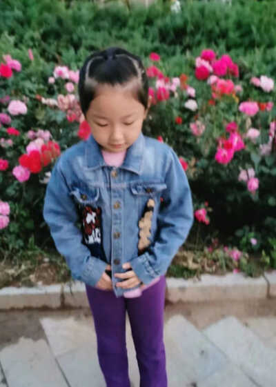 模特-