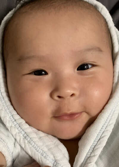 模特-