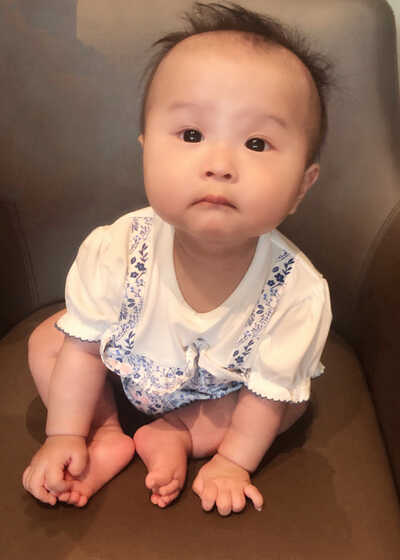 模特-