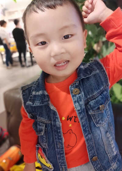 模特-