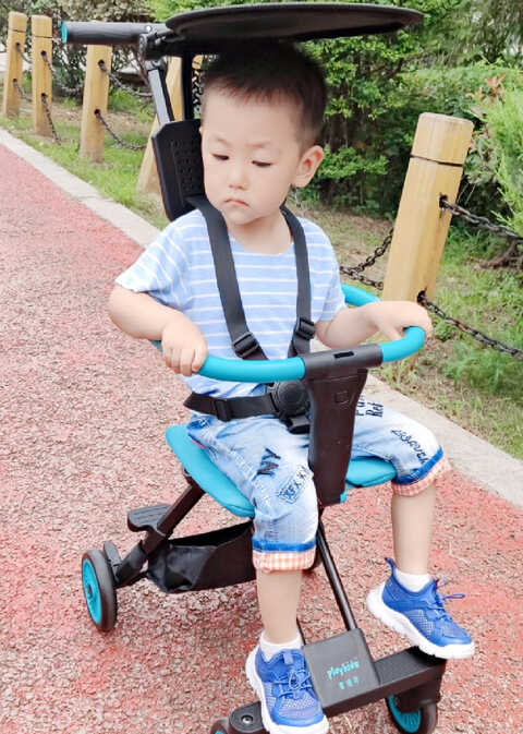 模特-