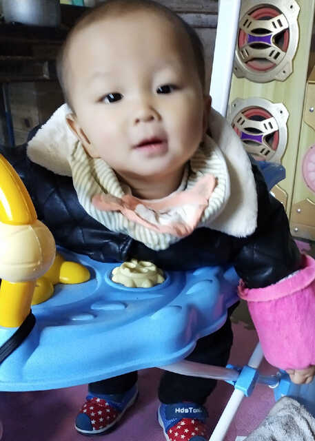 模特-