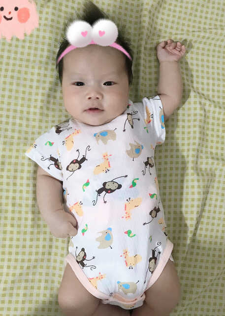 模特-