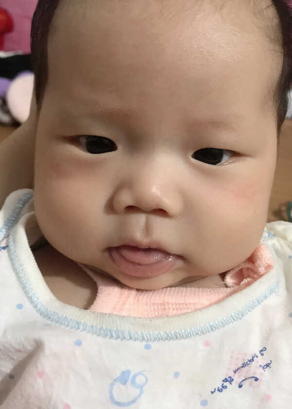 模特-