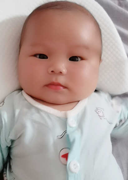 模特-