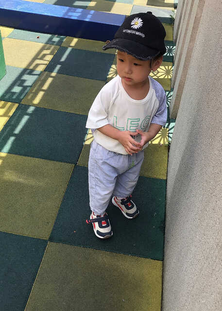 模特-