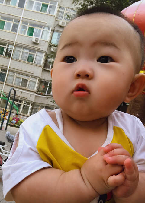 模特-