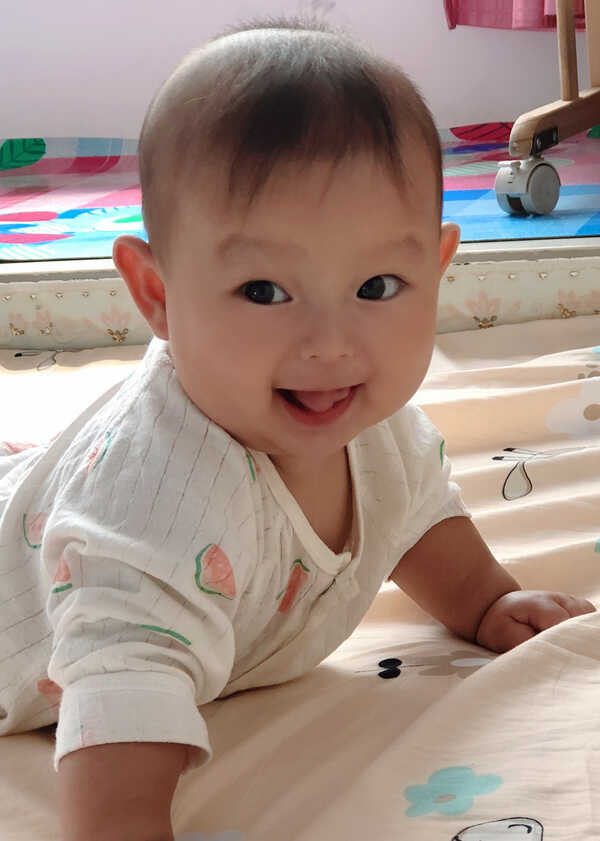 模特-