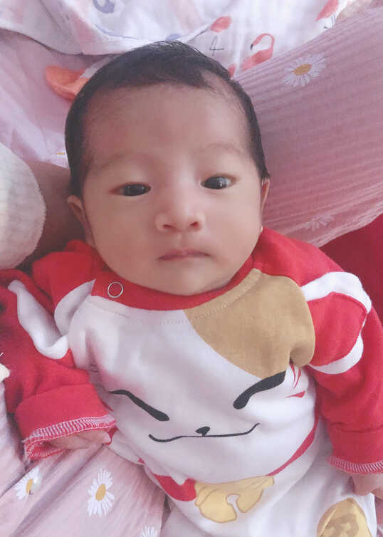 模特-