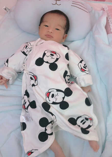 模特-