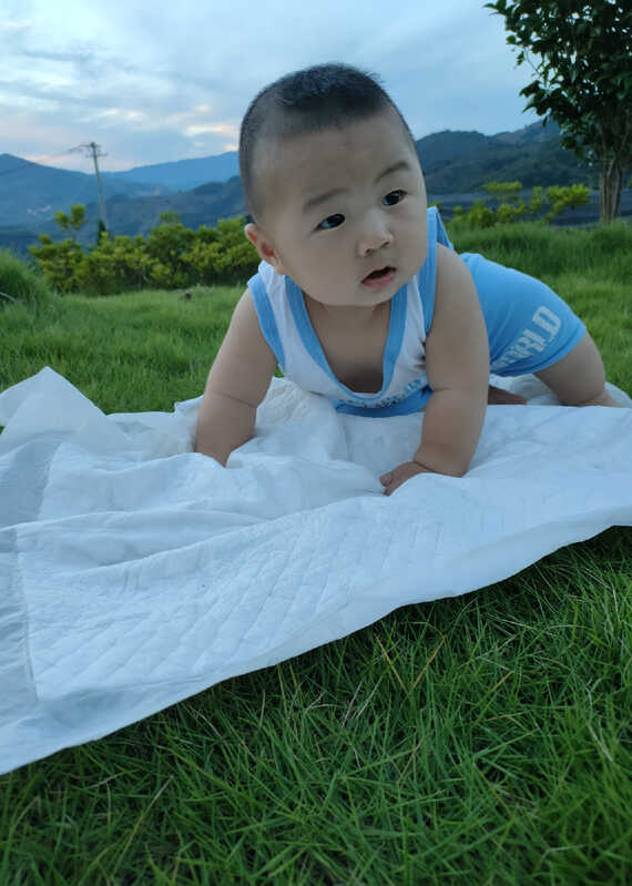 模特-