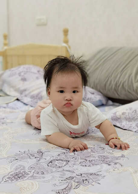 模特-