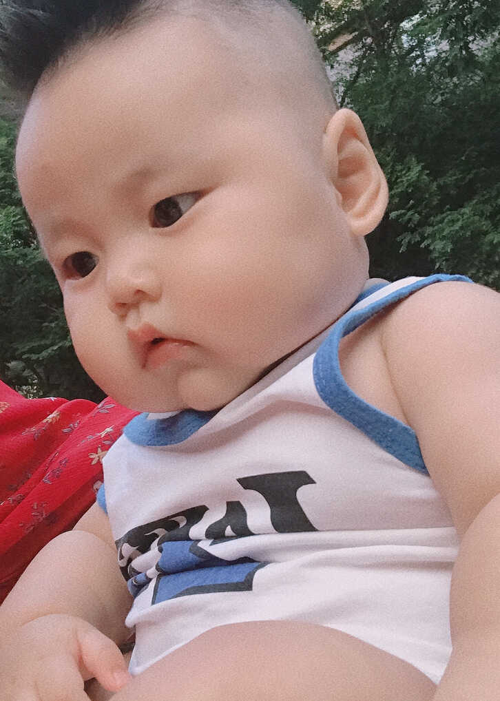 模特-