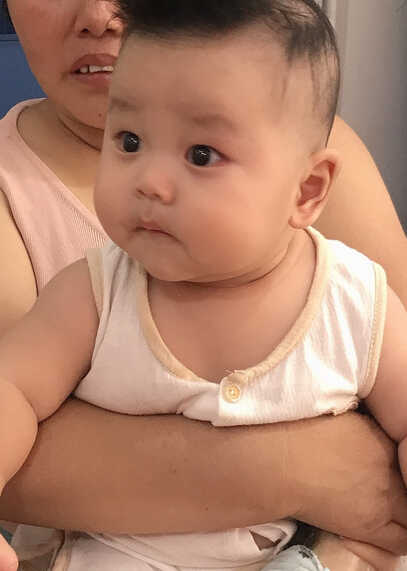 模特-