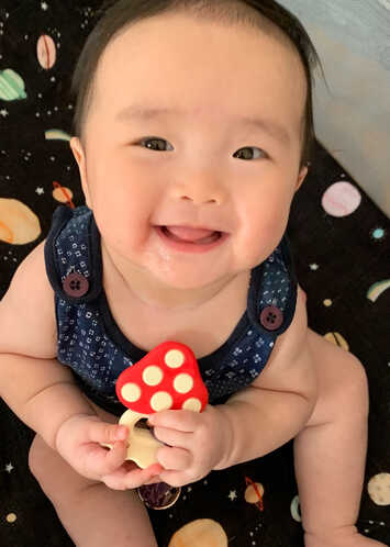模特-