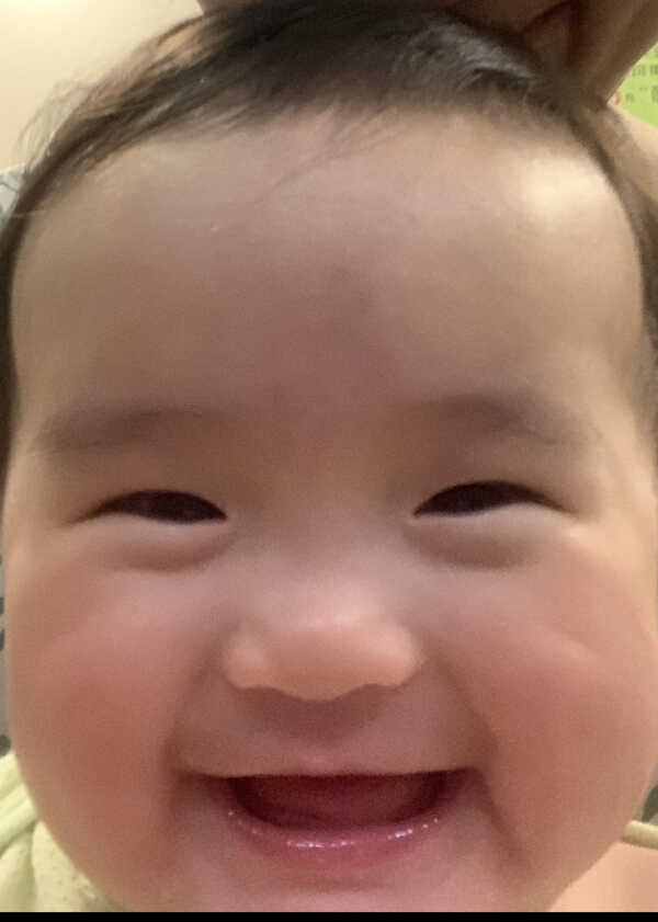 模特-