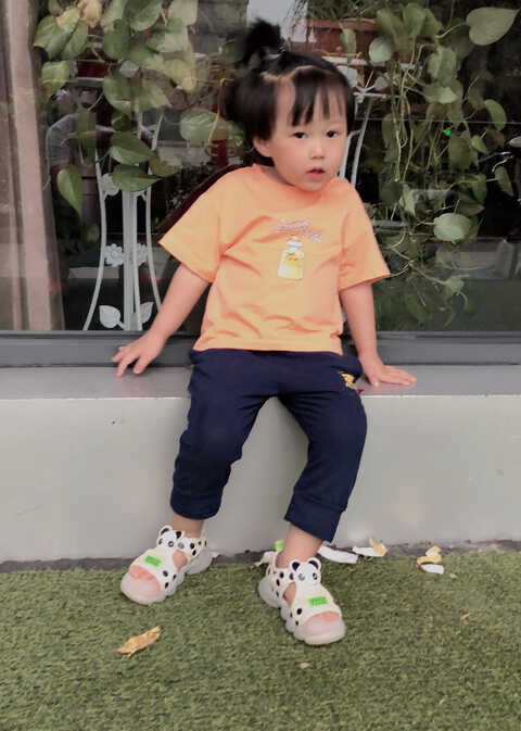 模特-