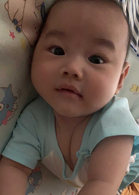 模特-