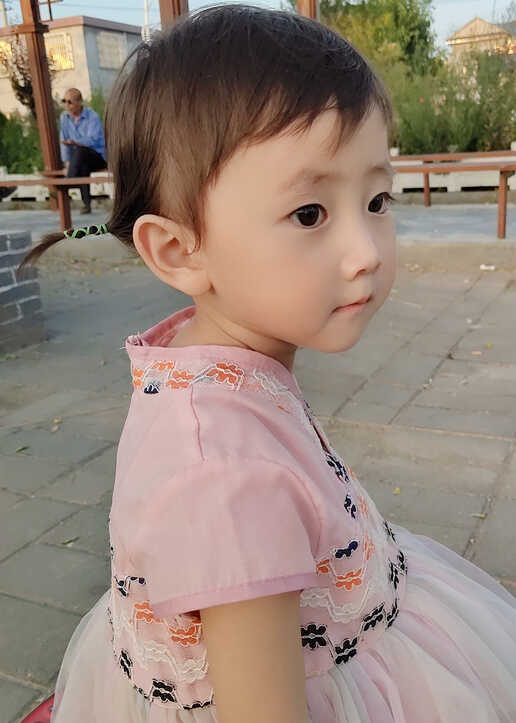 模特-
