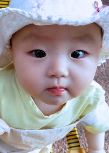 模特-