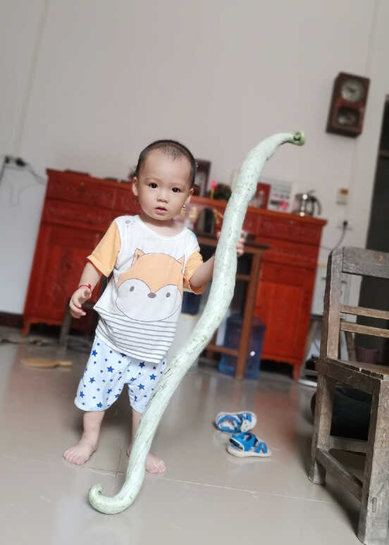 模特-