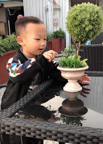 模特-