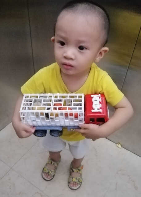 模特-