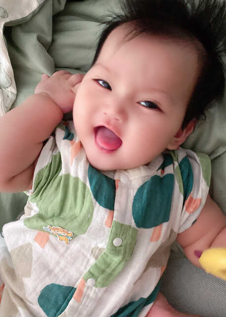 模特-