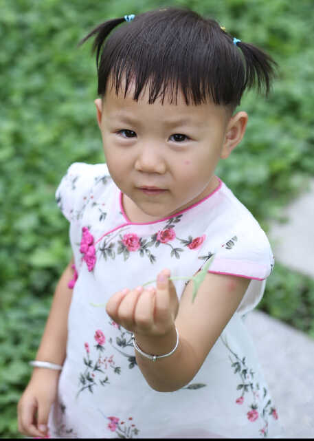 模特-