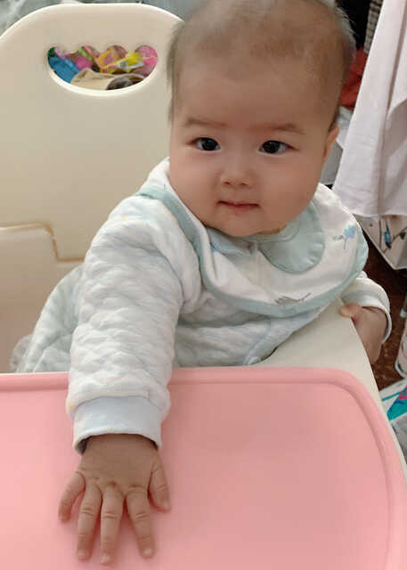 模特-
