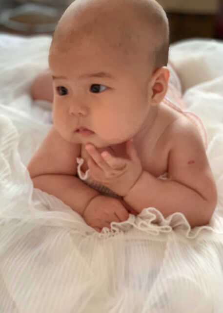 模特-