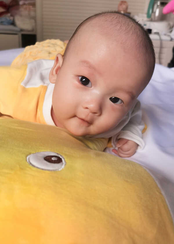 模特-
