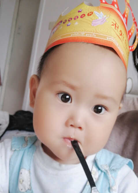 模特-