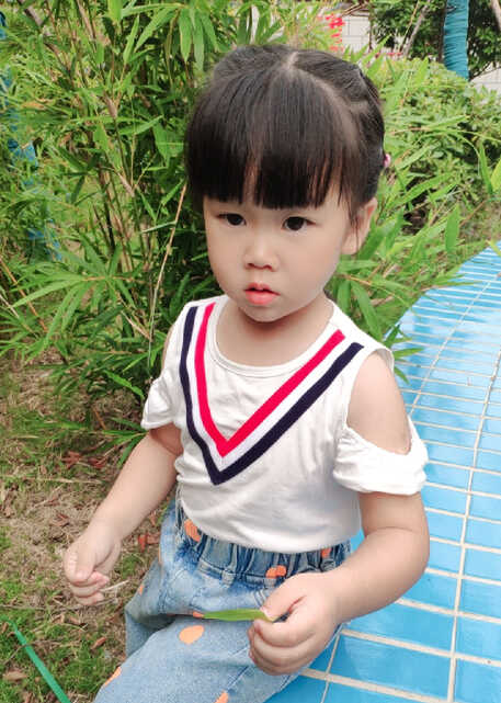模特-