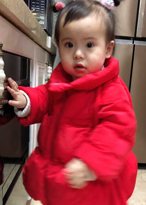 模特-