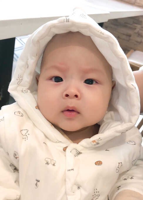 模特-