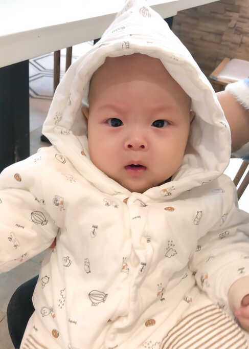 模特-