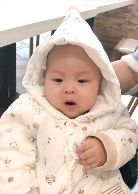 模特-