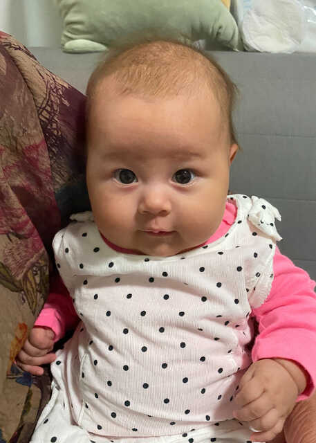 模特-